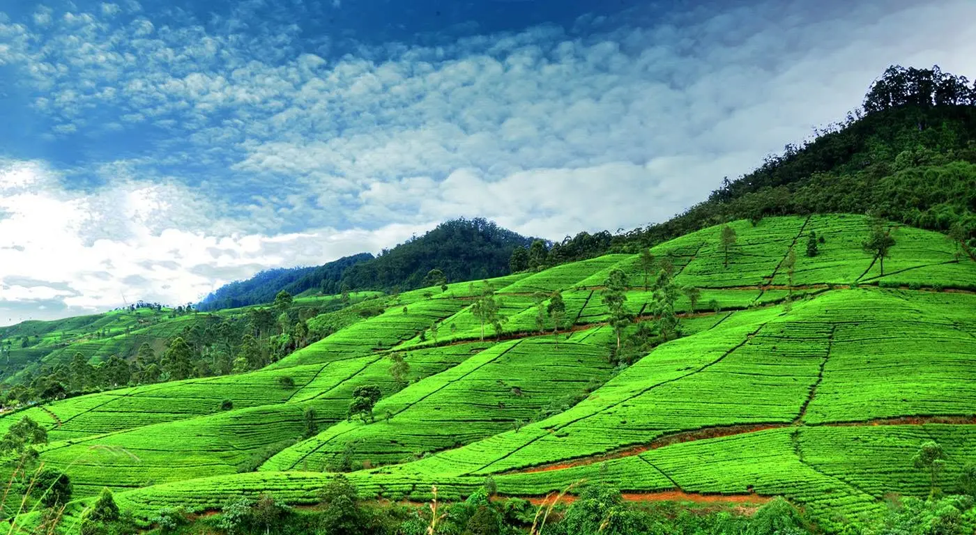 Beauty of Sri Lanka private Sri Lanka itinerary
